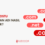 seo dostu bir alan adı nasıl seçilir