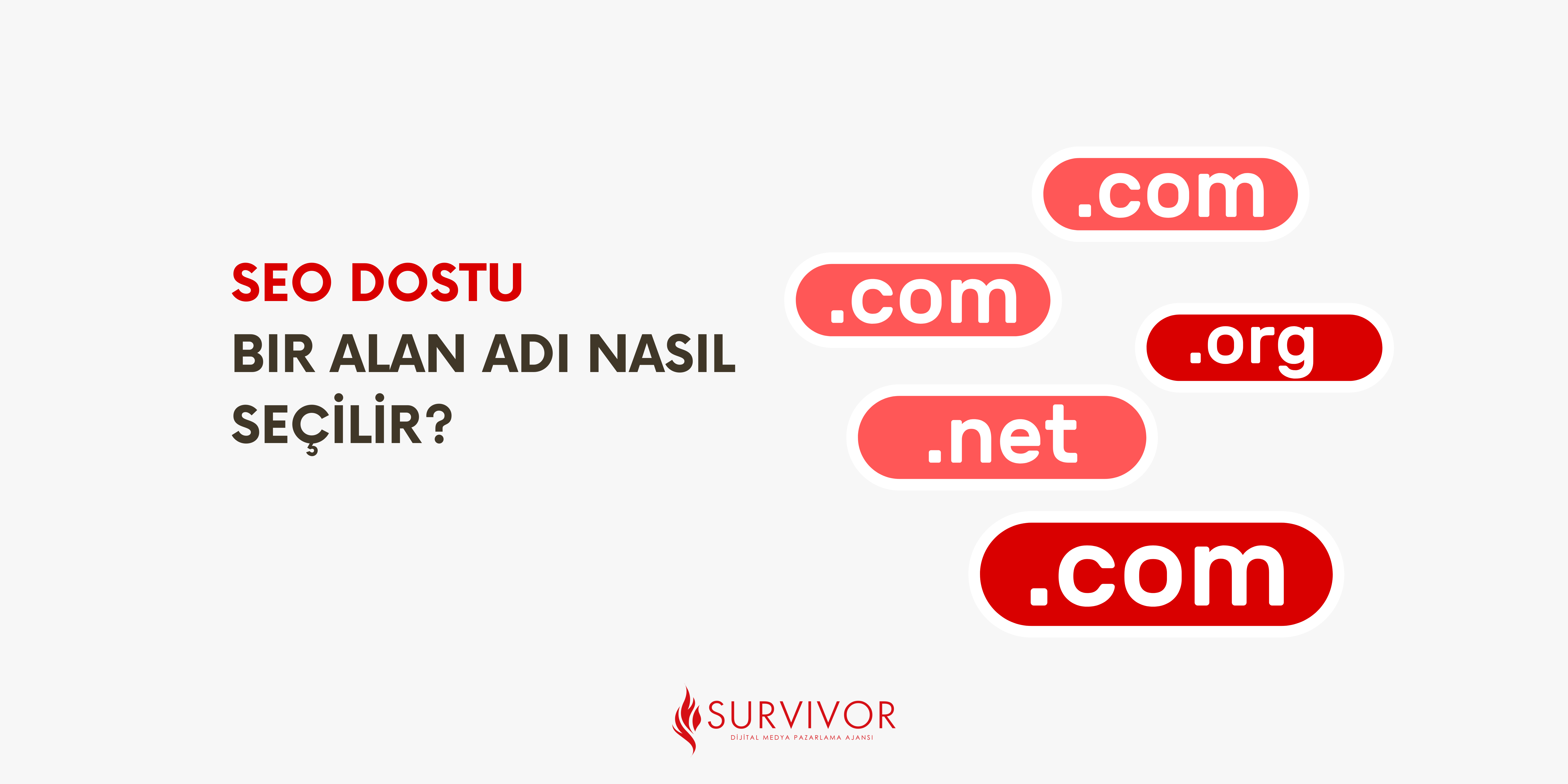 seo dostu bir alan adı nasıl seçilir